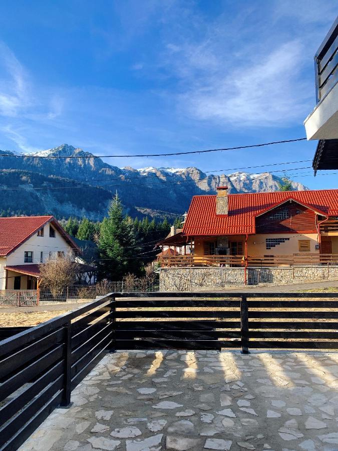 Nordic Chalet ซินายา ภายนอก รูปภาพ