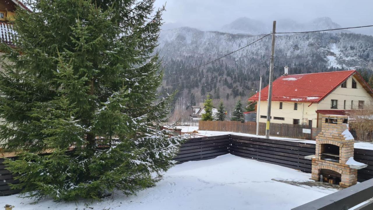 Nordic Chalet ซินายา ภายนอก รูปภาพ